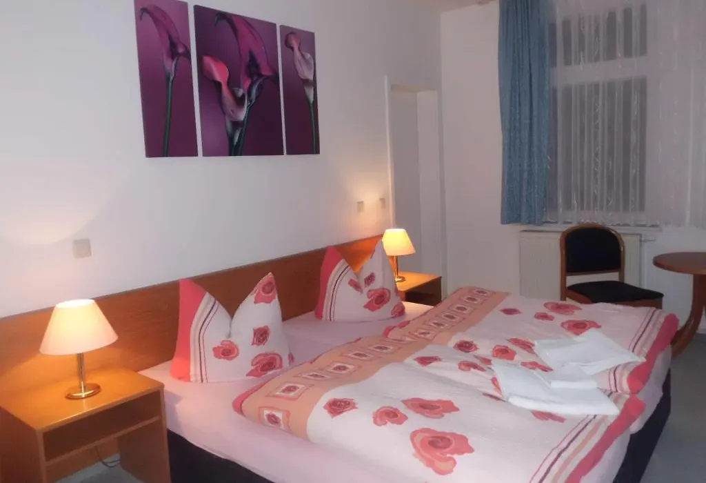 Pension Parkhotel Blankenhain-1
